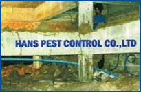 Termite control